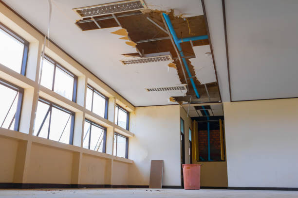 Best Basement water damage restoration  in Turlock, CA