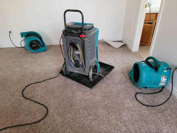 Best Residential water damage restoration  in Turlock, CA