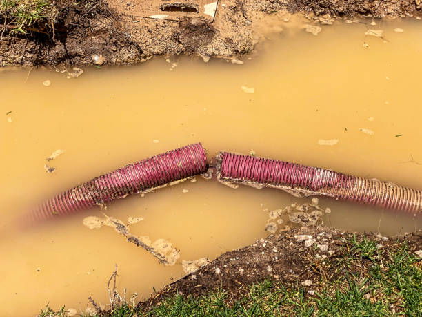 Best Professional water damage repair  in Turlock, CA